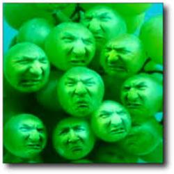 sourgrapes1